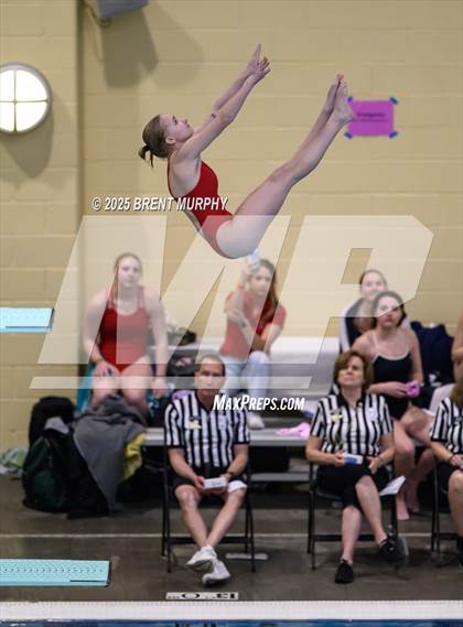 Thumbnail 2 in CHSAA 3A Diving Finals photogallery.