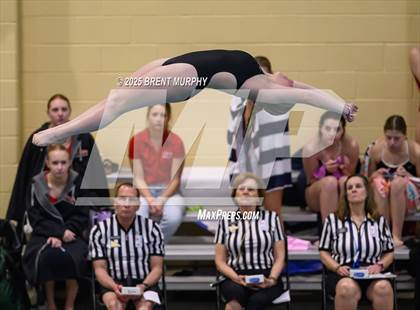 Thumbnail 1 in CHSAA 3A Diving Finals photogallery.