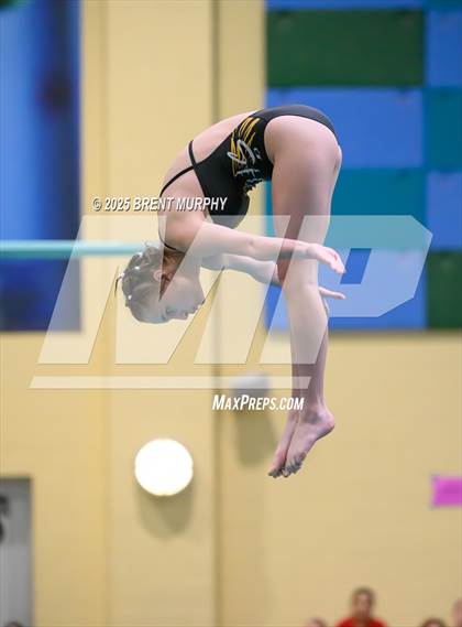 Thumbnail 3 in CHSAA 3A Diving Finals photogallery.