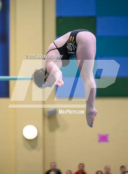 Thumbnail 2 in CHSAA 3A Diving Finals photogallery.