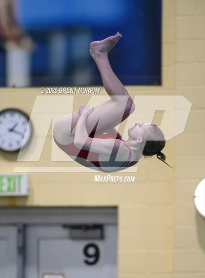 Thumbnail 2 in CHSAA 3A Diving Finals photogallery.