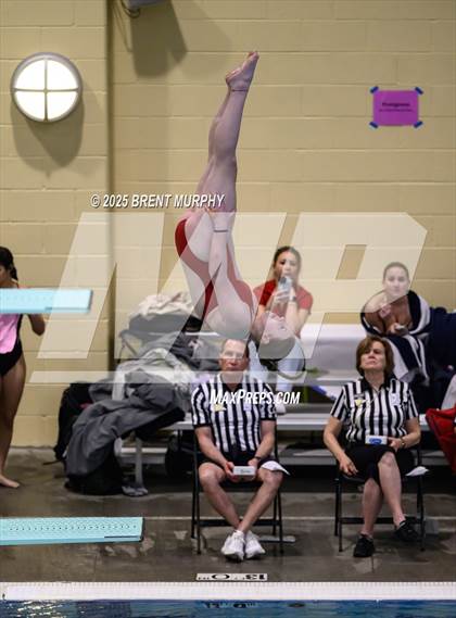 Thumbnail 1 in CHSAA 3A Diving Finals photogallery.