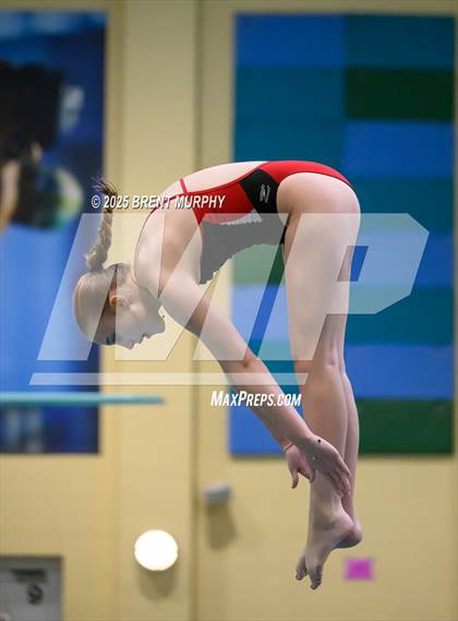 Thumbnail 2 in CHSAA 3A Diving Finals photogallery.