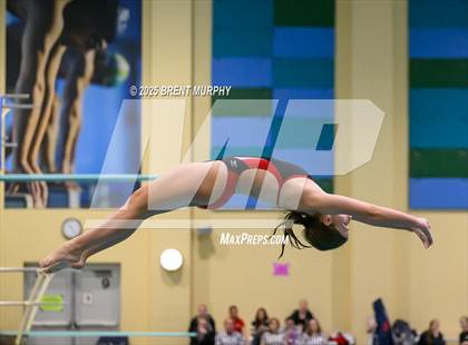 Thumbnail 1 in CHSAA 3A Diving Finals photogallery.