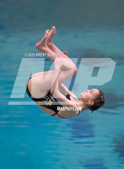 Thumbnail 3 in CHSAA 3A Diving Finals photogallery.