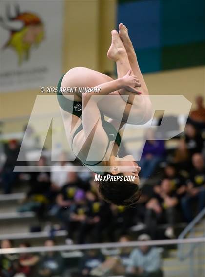 Thumbnail 3 in CHSAA 3A Diving Finals photogallery.