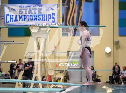 Thumbnail 1 in CHSAA 3A Diving Finals photogallery.