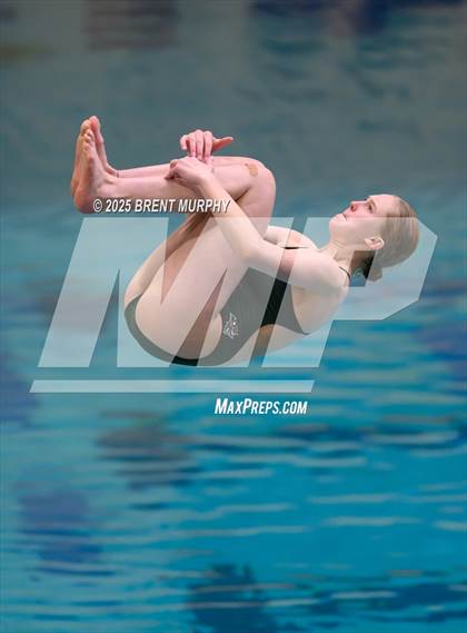 Thumbnail 3 in CHSAA 3A Diving Finals photogallery.