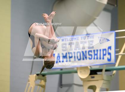 Thumbnail 3 in CHSAA 3A Diving Finals photogallery.