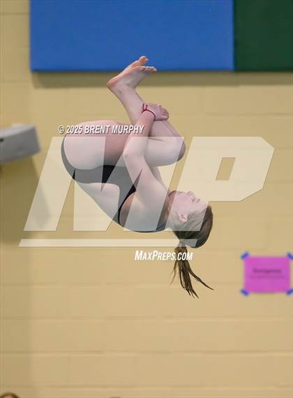 Thumbnail 1 in CHSAA 3A Diving Finals photogallery.