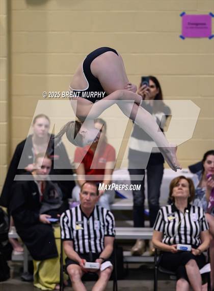 Thumbnail 1 in CHSAA 3A Diving Finals photogallery.