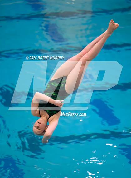 Thumbnail 2 in CHSAA 3A Diving Finals photogallery.