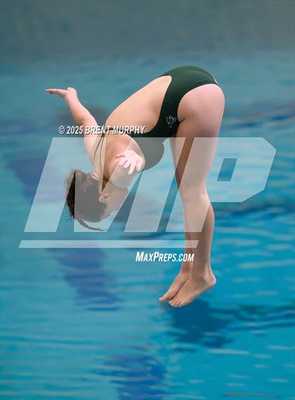 Thumbnail 3 in CHSAA 3A Diving Finals photogallery.