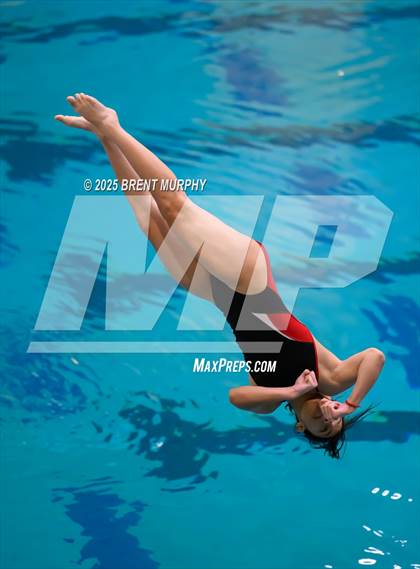 Thumbnail 1 in CHSAA 3A Diving Finals photogallery.