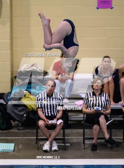 Thumbnail 3 in CHSAA 3A Diving Finals photogallery.