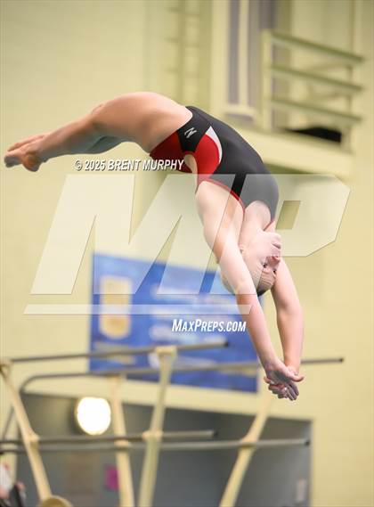 Thumbnail 2 in CHSAA 3A Diving Finals photogallery.
