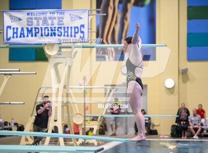 Thumbnail 1 in CHSAA 3A Diving Finals photogallery.