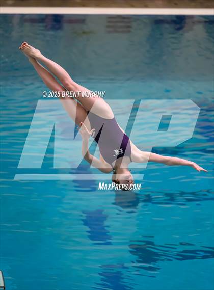 Thumbnail 2 in CHSAA 3A Diving Finals photogallery.