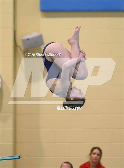 Thumbnail 3 in CHSAA 3A Diving Finals photogallery.