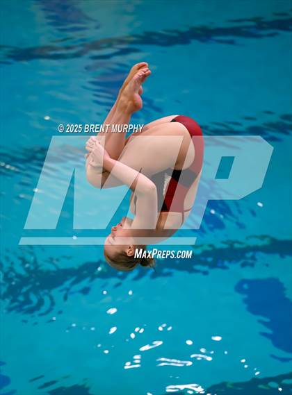 Thumbnail 3 in CHSAA 3A Diving Finals photogallery.