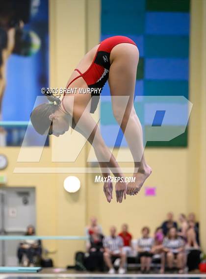 Thumbnail 1 in CHSAA 3A Diving Finals photogallery.