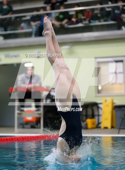 Thumbnail 3 in CHSAA 3A Diving Finals photogallery.