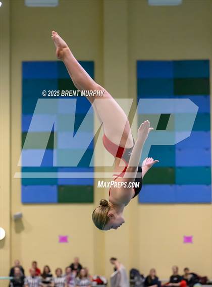 Thumbnail 3 in CHSAA 3A Diving Finals photogallery.