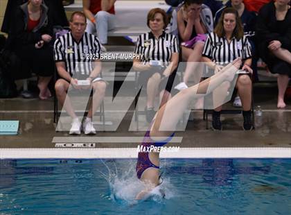 Thumbnail 2 in CHSAA 3A Diving Finals photogallery.