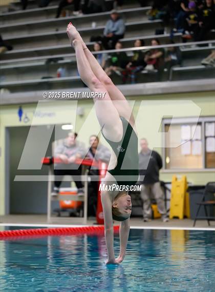 Thumbnail 2 in CHSAA 3A Diving Finals photogallery.