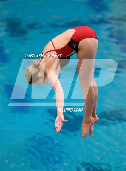 Thumbnail 3 in CHSAA 3A Diving Finals photogallery.