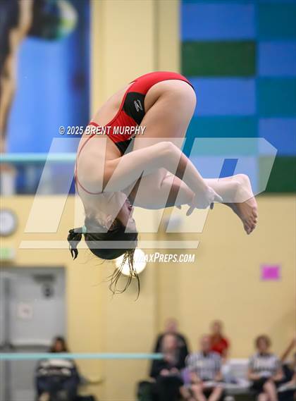 Thumbnail 3 in CHSAA 3A Diving Finals photogallery.