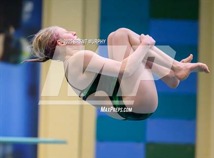 Thumbnail 1 in CHSAA 3A Diving Finals photogallery.