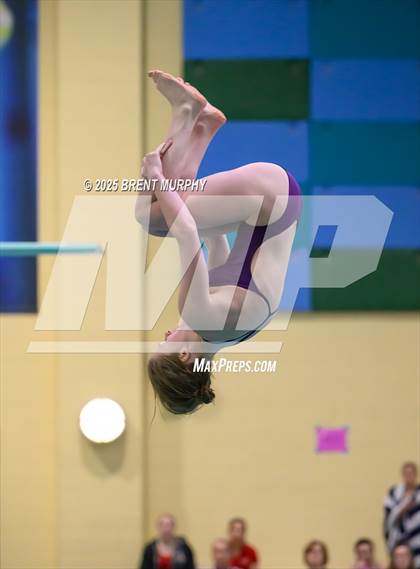 Thumbnail 2 in CHSAA 3A Diving Finals photogallery.