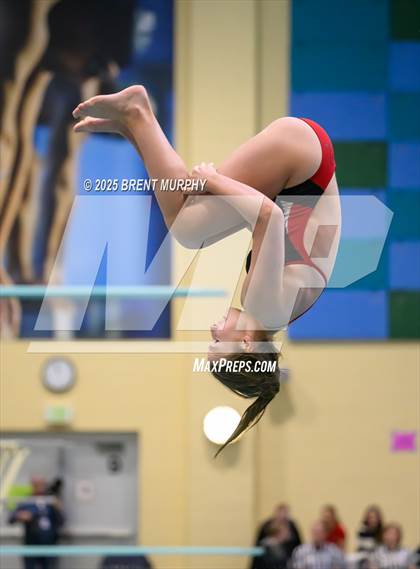 Thumbnail 3 in CHSAA 3A Diving Finals photogallery.