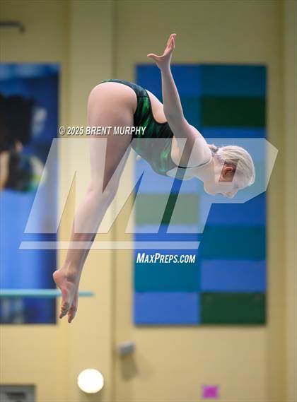 Thumbnail 1 in CHSAA 3A Diving Finals photogallery.