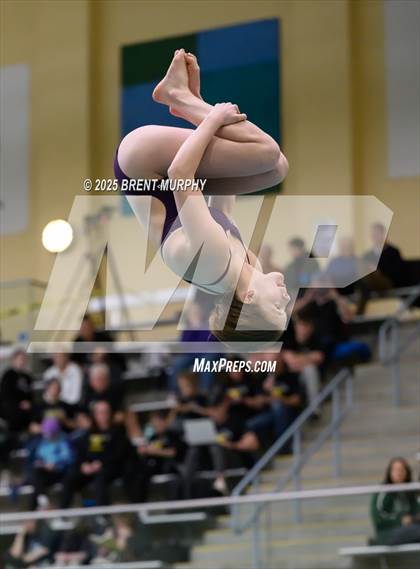 Thumbnail 1 in CHSAA 3A Diving Finals photogallery.