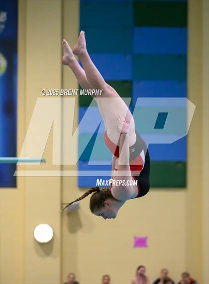 Thumbnail 1 in CHSAA 3A Diving Finals photogallery.