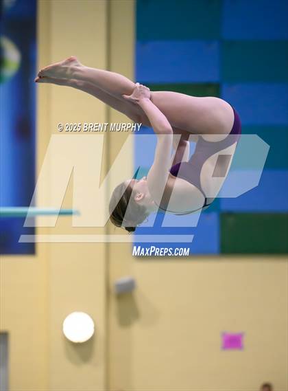 Thumbnail 3 in CHSAA 3A Diving Finals photogallery.
