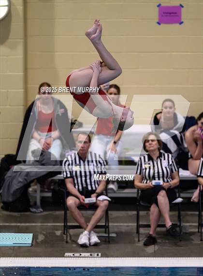 Thumbnail 3 in CHSAA 3A Diving Finals photogallery.