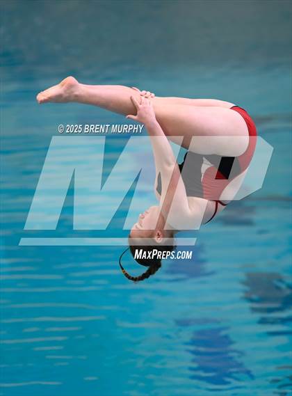 Thumbnail 3 in CHSAA 3A Diving Finals photogallery.