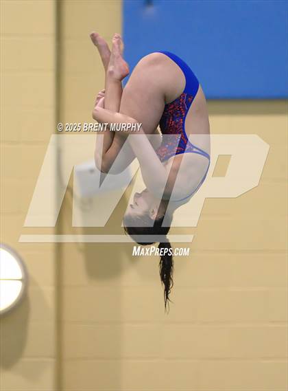 Thumbnail 2 in CHSAA 3A Diving Finals photogallery.