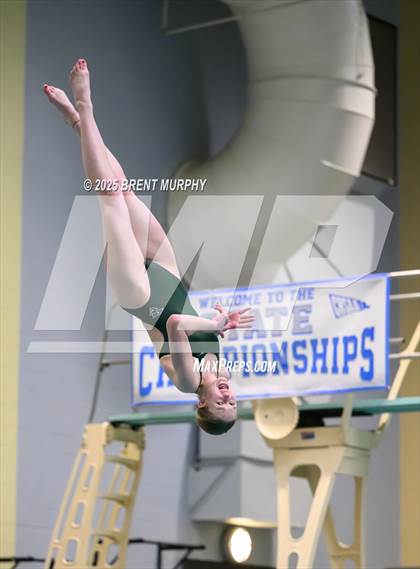 Thumbnail 1 in CHSAA 3A Diving Finals photogallery.