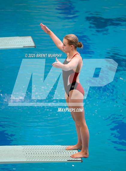 Thumbnail 3 in CHSAA 3A Diving Finals photogallery.