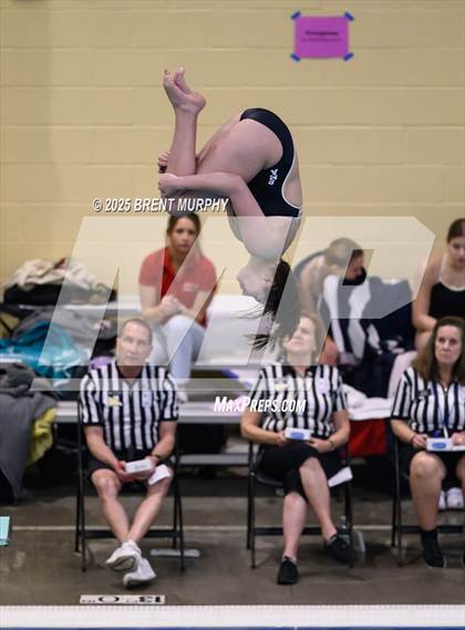 Thumbnail 3 in CHSAA 3A Diving Finals photogallery.