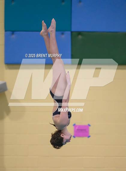 Thumbnail 1 in CHSAA 3A Diving Finals photogallery.