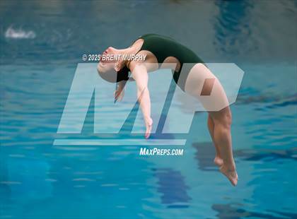 Thumbnail 2 in CHSAA 3A Diving Finals photogallery.