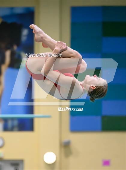 Thumbnail 2 in CHSAA 3A Diving Finals photogallery.