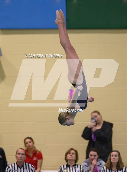 Thumbnail 1 in CHSAA 3A Diving Finals photogallery.