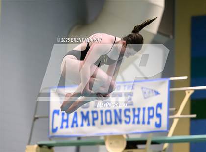 Thumbnail 2 in CHSAA 3A Diving Finals photogallery.