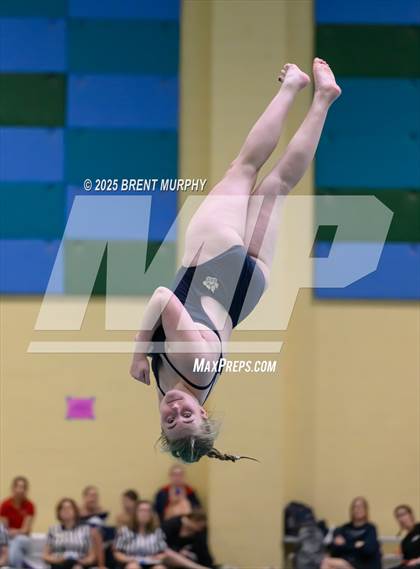 Thumbnail 1 in CHSAA 3A Diving Finals photogallery.